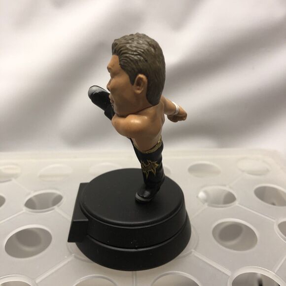 Masaaki Mochizuki 2005 Dragon Gate F Toys Connect Japan Pro Wrestling Mini Fig - Picture 6 of 7